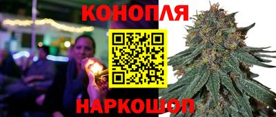 шишки Коммунар