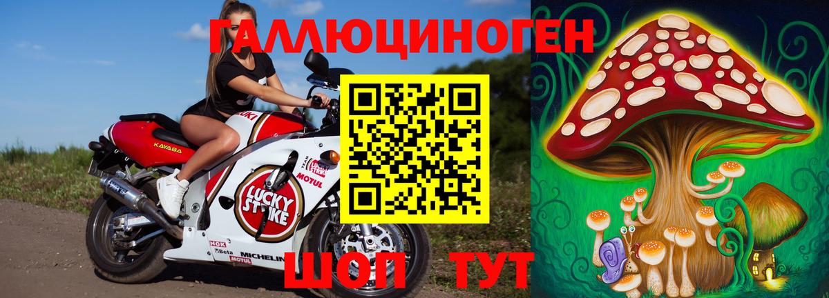 Псилоцибиновые грибы мицелий  Вход с VPN  Киселёвск 